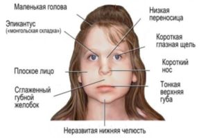 Защита прав детей в семьях, где родители злоупотребляют алкоголем